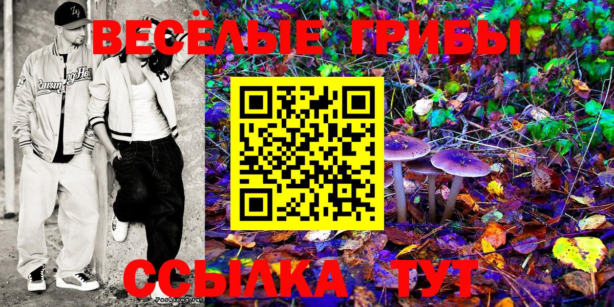 Галлюциногенные грибы ЛСД  Вход с VPN  Галлюциногенные грибы GOLDEN TEACHER  Новокуйбышевск 