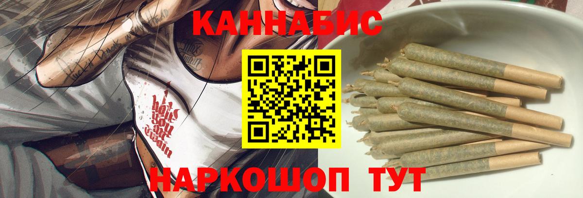 Конопля гибрид Новокуйбышевск